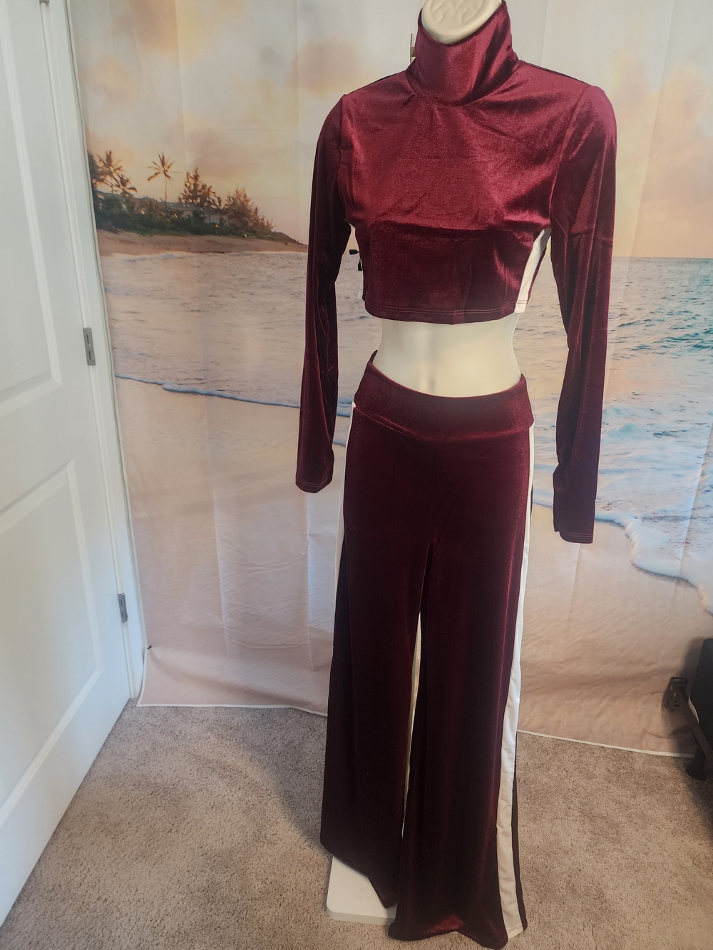 WinWin Velvet Burgundy Crop Top & Wide-Leg Pants Set - Women's NWOT